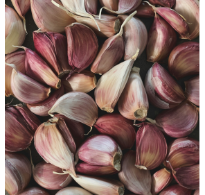 copy of Spicy Onion Confit