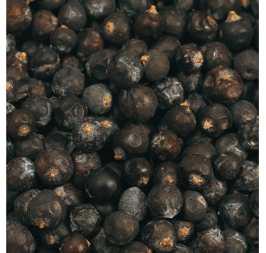 Confit d'Oignons Spicy La petite Cueillette