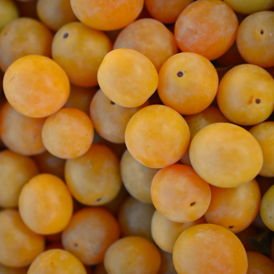 Mirabelle & Tagète Lemmonii