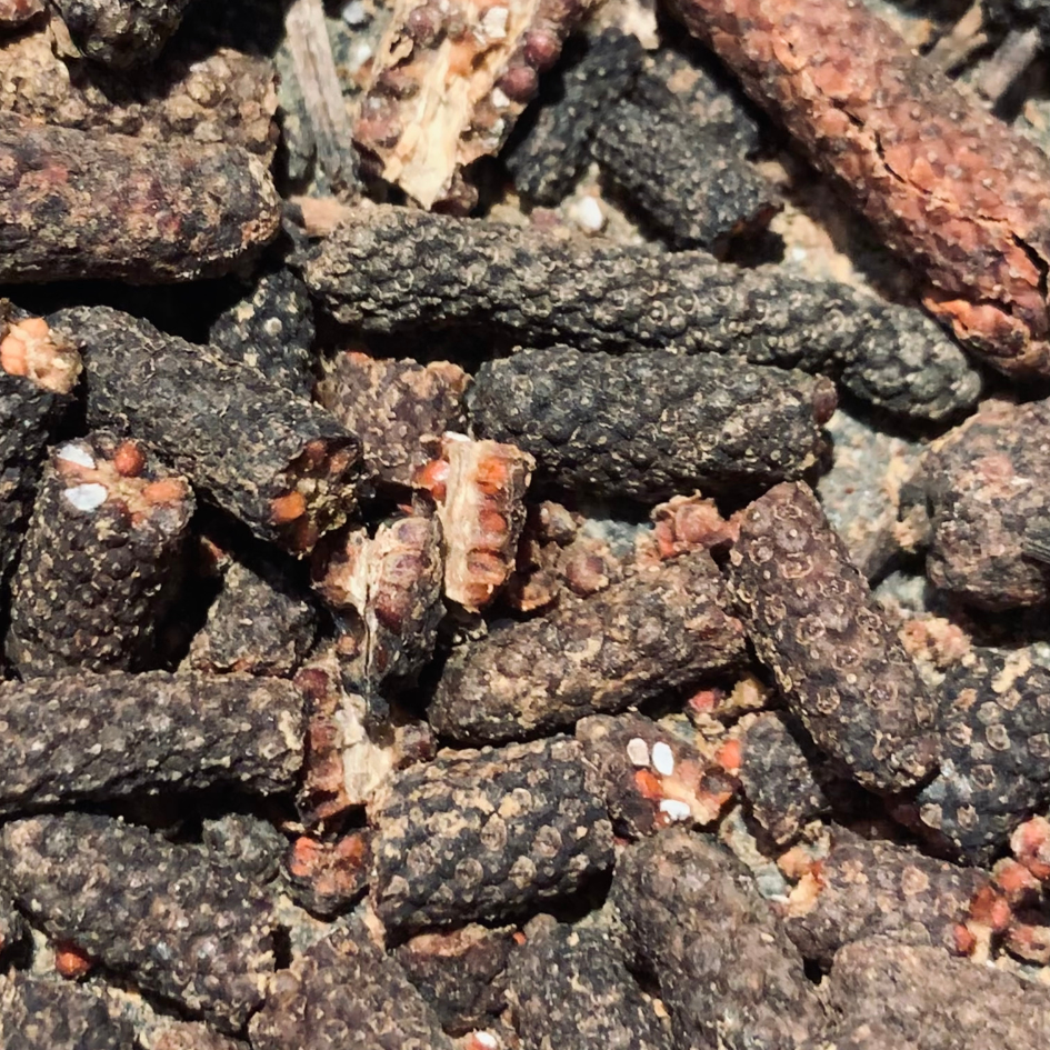 Chou-fleur Poivre de Java & Géranium