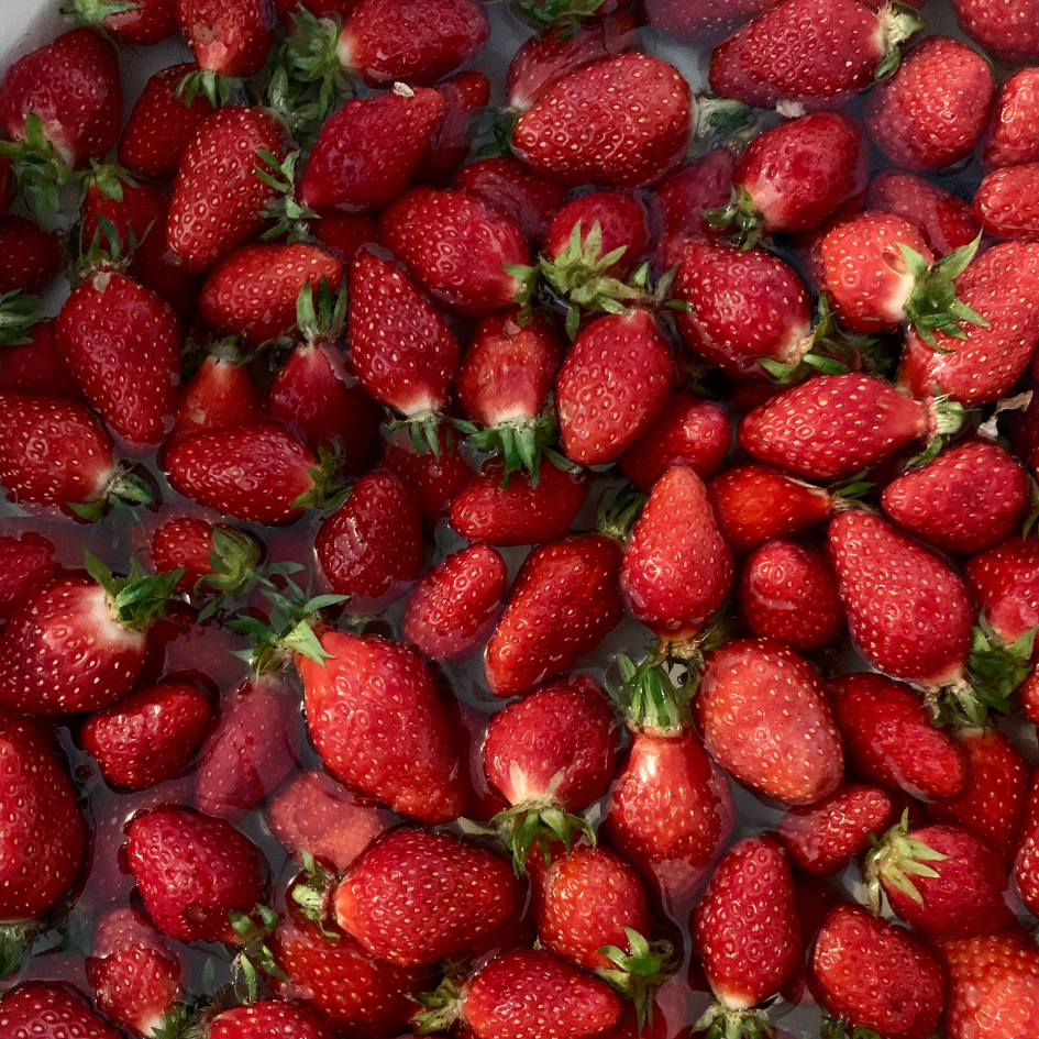 Gariguette - Vanille & Fleur de Sureau