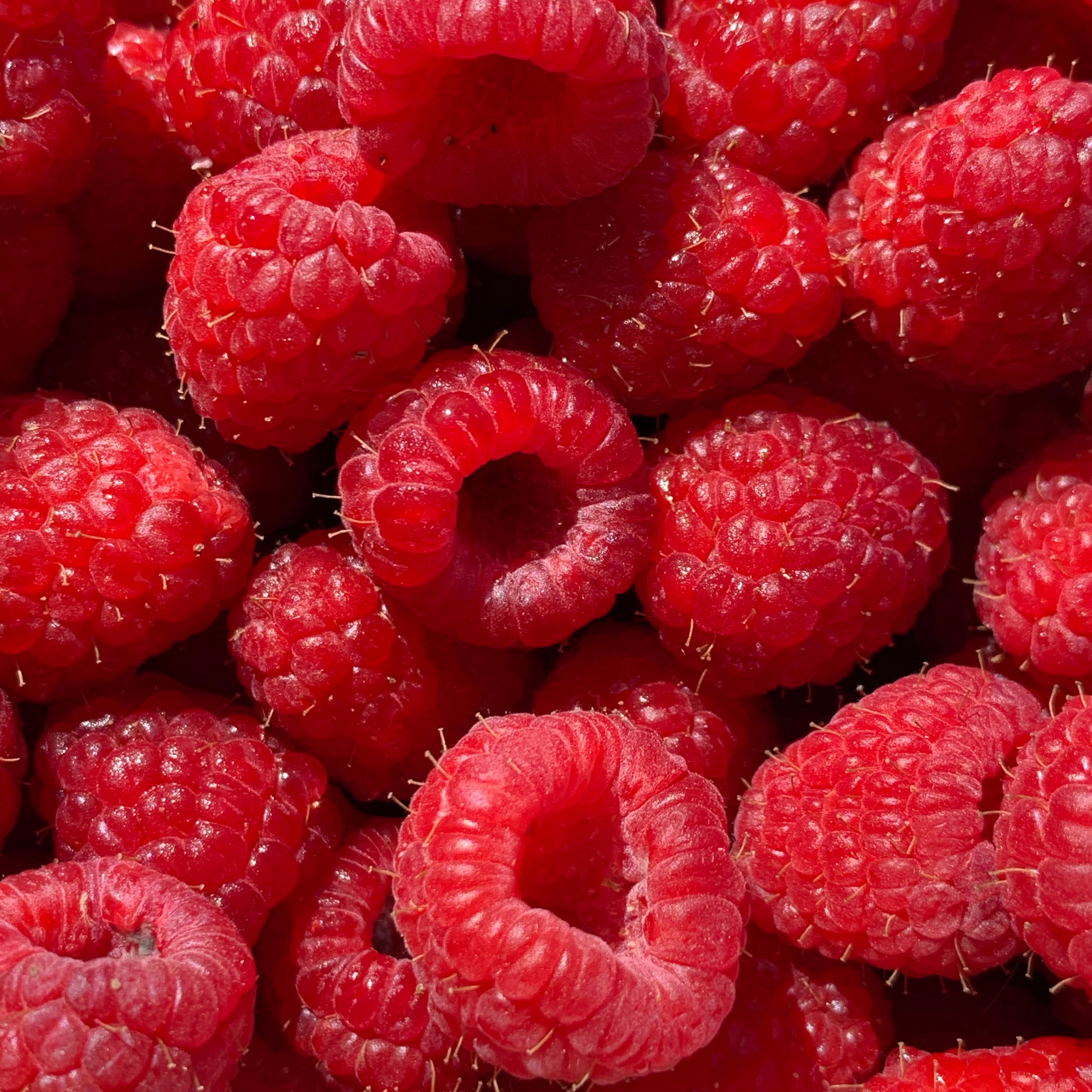 Fraise - Framboise & Estragon