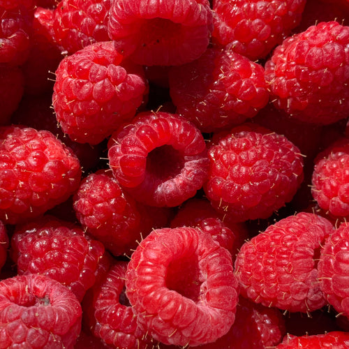 Fraise - Framboise & Estragon