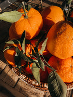 Kiwi Vert - Orange & Gingembre