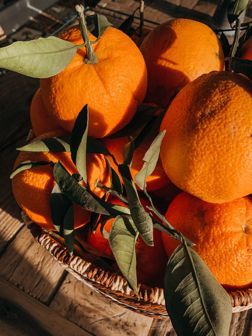 Kiwi Vert - Orange & Gingembre