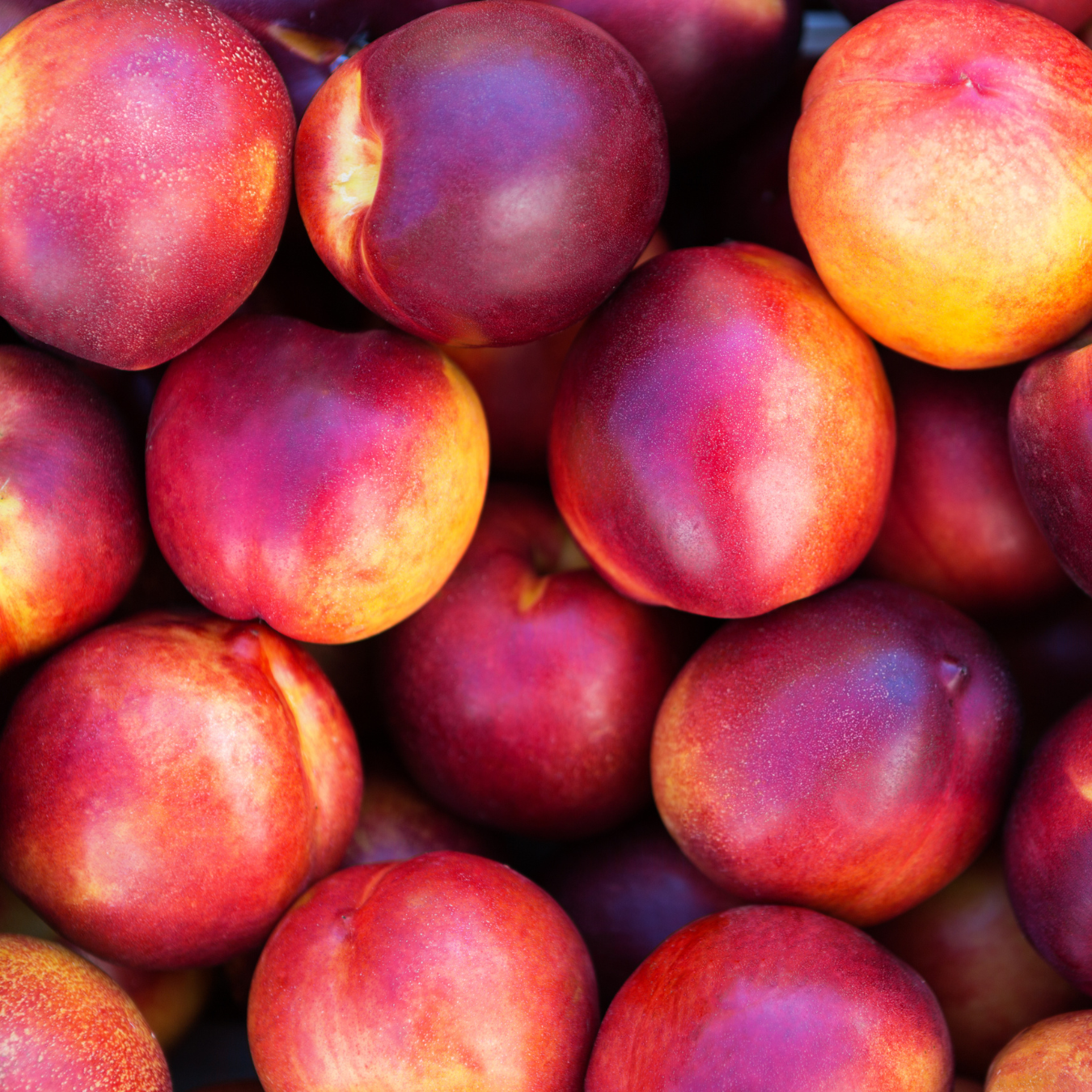 Nectarine et Tagète par La Petite Cueillette