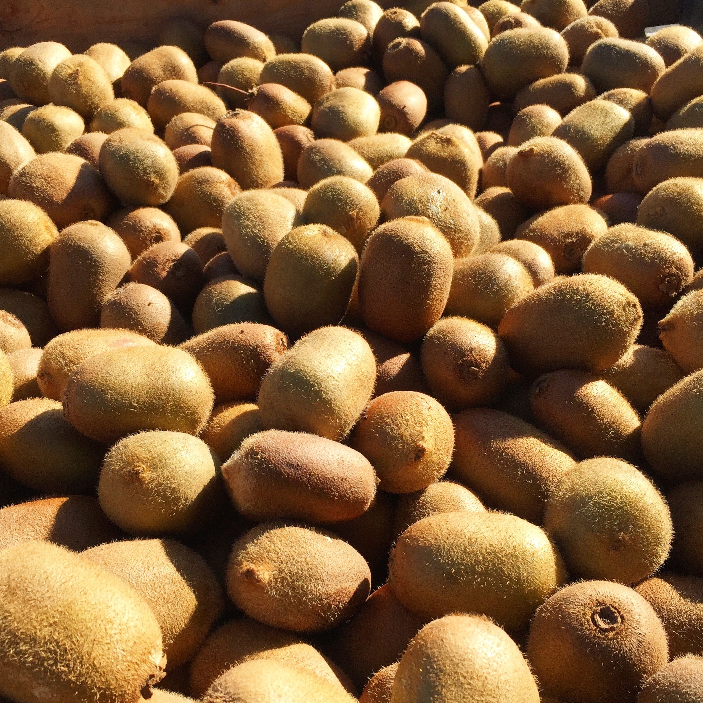 Kiwi Vert - Orange & Gingembre