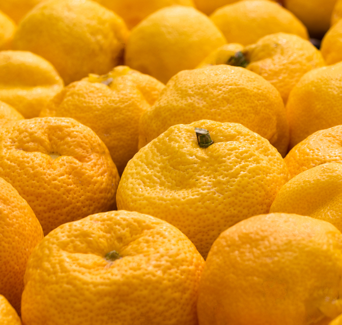 Kiwi Vert - Yuzu & Fleur de Sureau