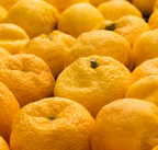 Kiwi Vert - Yuzu & Fleur de Sureau