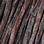 Mangue - Citron Vert & Vanille de Tahiti