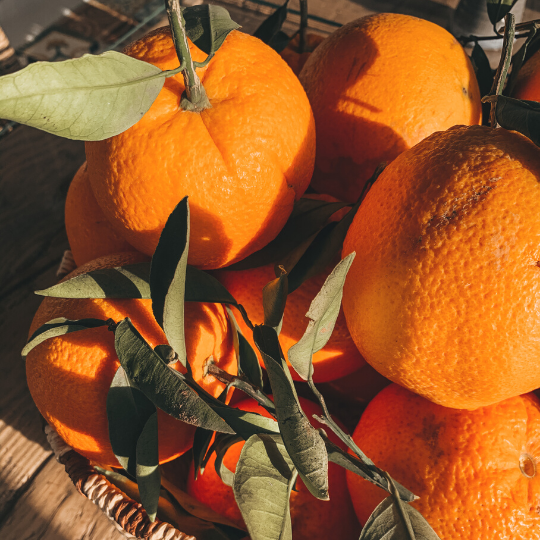 Orange & Cacahuète Caramélisée