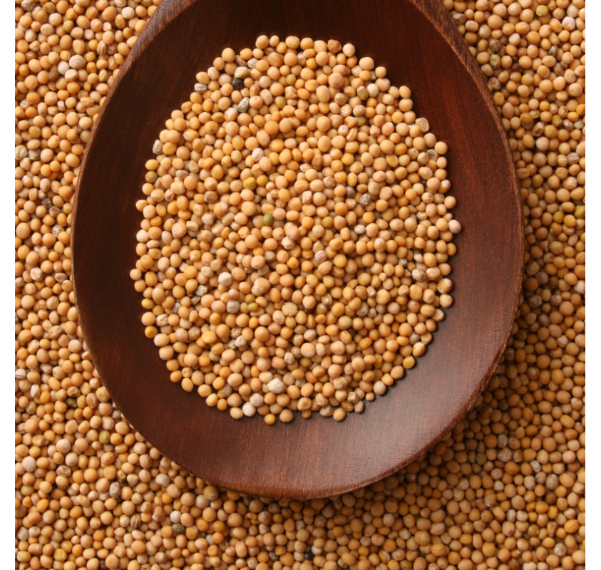 Pickles Oignons Rouges Moutarde & Thym